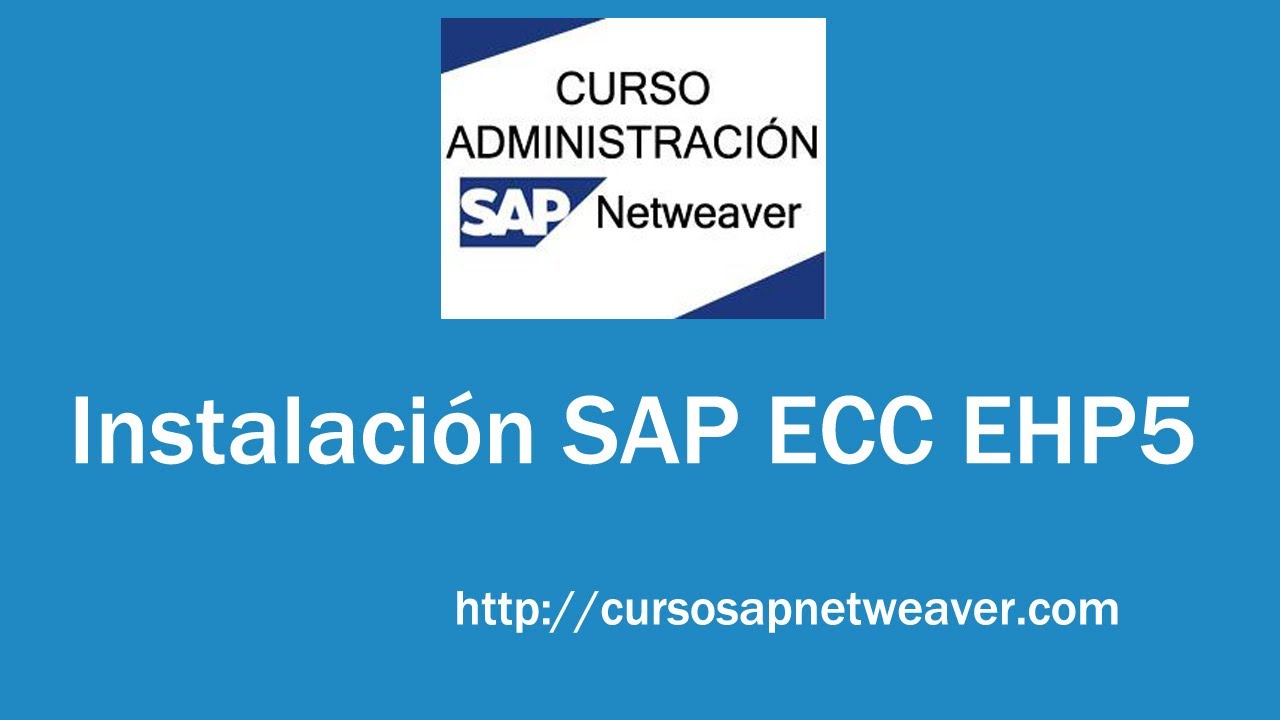 what is sap ecc 6.0